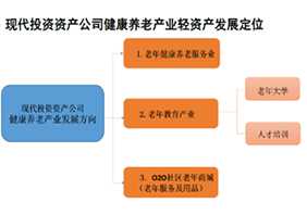 集团养老产业发展战略